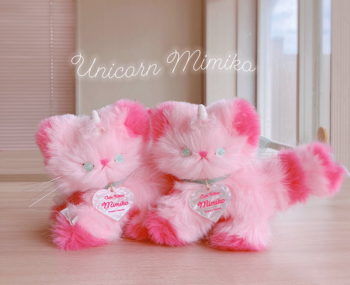 kyancy house キャンシーハウス (@kyancyhouse) / Posts / X