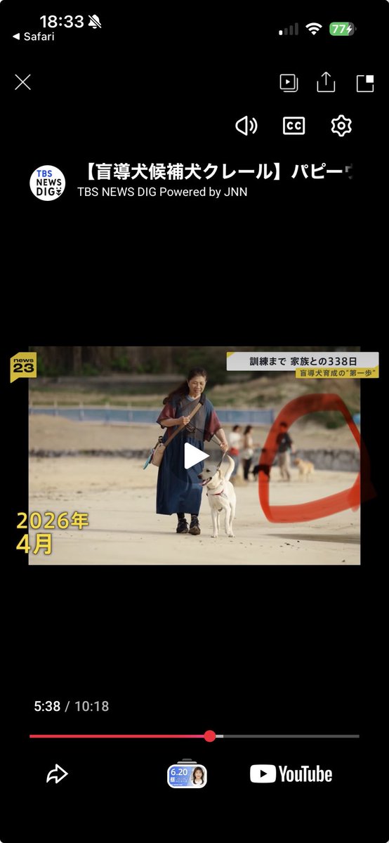 OnelyJp's tweet photo. @momo06093 ありがとうございます！！5分38秒くらいにエリオがピンぼけで映ってました🤣
パピーウォーカー、お別れがいつもクローズアップされますが、そうではなくパピーとの幸せな時間がたっぷりあることが伝わると嬉しいです🥹 https://t.co/jSb1aY5Kje