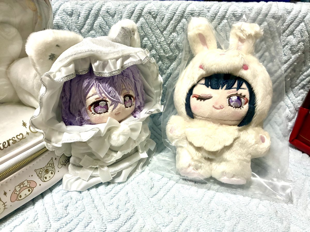猫野 tweet media