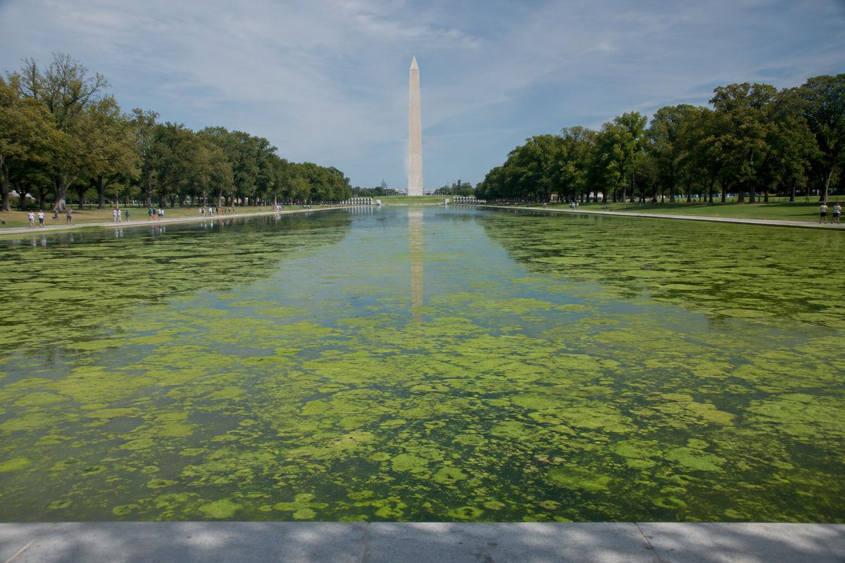 PeripheryFash's tweet photo. @WhiteHouse Dozy Don promised to drain the swamp. Instead, he spent $14 million of taxpayers’ money paying his friends to build one. https://t.co/uUp6WF0fsb