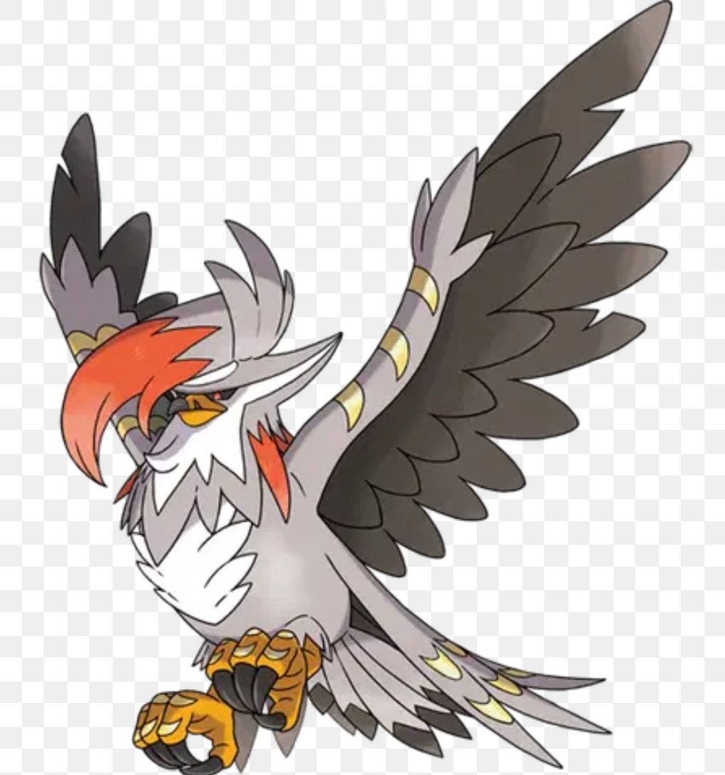 TypodPikachu's tweet photo. @mrmegawalls @DNCHI77 > Every contrary mon has bad stats/typing/coverage

Live Bird Reaction: https://t.co/ROWPJy1chY