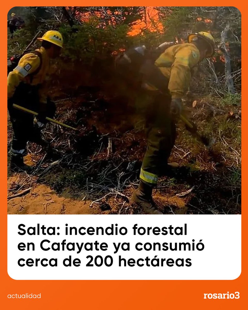 Rosariotres's tweet photo. 🔥 SALTA EN ALERTA: EL FUEGO YA ARRASÓ CERCA DE 200 HECTÁREAS 🔥

🚒 Brigadistas trabajan en Cafayate para evitar que el incendio forestal llegue a zonas urbanas. Las llamas avanzaron cerca del aeródromo y del parque de paneles solares.

🌬️ El viento Zonda complicó el operativo y empujó el fuego sobre bosque nativo. Por eso, el Concejo Deliberante declaró la emergencia ambiental por 18 meses.

⚠️ Defensa Civil advirtió que el combate puede llevar varias semanas. La provincia pidió refuerzos a nivel nacional y espera la llegada de bomberos de otras jurisdicciones.