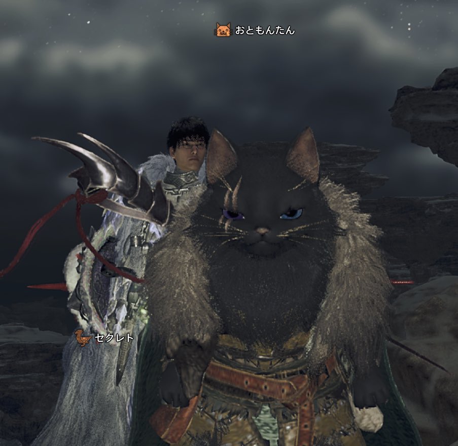 iemon_ALcot's tweet photo. 配信外でモンハンワイルズやっててHR100超えた〜

長毛のねこちゃんかわいいのでおいておきます
(ハンターの見た目そろそろなんとかしたい) https://t.co/OJVrP5K83b