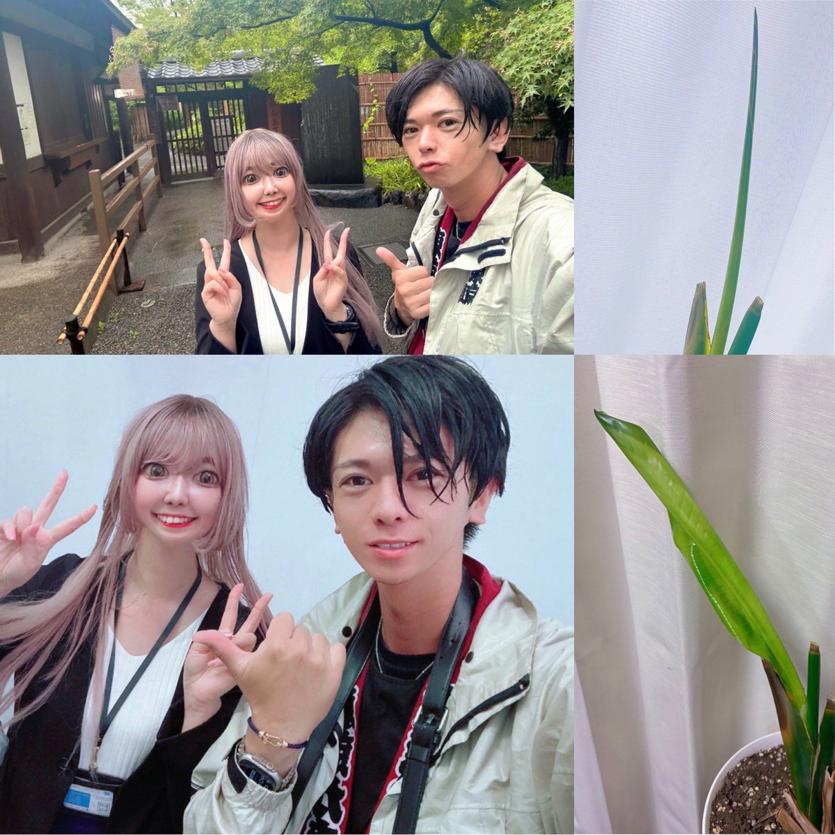 Arisa61515's tweet photo. 仕事終わりに
土砂降り☔️でしたが

山本尚紀さん東京力車してきました✨

雨でも楽しかったです😊😆🐸🫧
短い時間でしたが
ありがとうございました👏✨

#東京力車
#山本尚紀　さん

#帰ってきたらニコライくん育ってた🥹🌱 https://t.co/pUmnWlyJx0