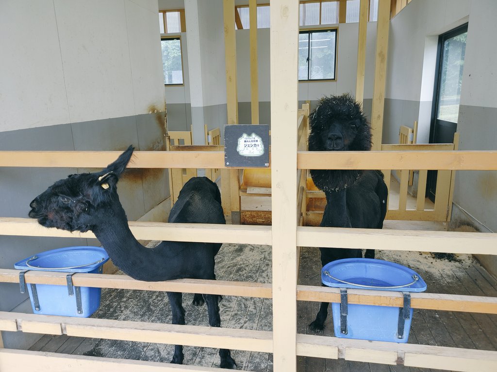 manami_mc's tweet photo. (動物不慣れな人間が撮るとこう。) https://t.co/F7mixYqkpo