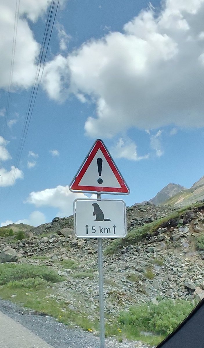 Valeria__79's tweet photo. 5km di marmotte, 2315m s. L. M. 🇨🇭
#albulapass https://t.co/Cj7GlDDOyQ