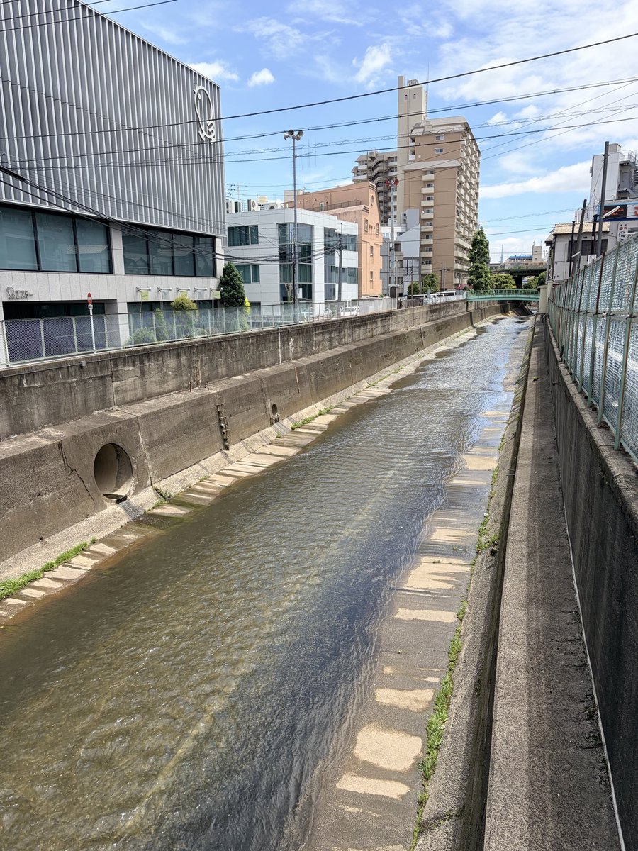 mushuminman2026's tweet photo. 高田馬場、新大久保、新宿。

たった3駅。

でも街の人格が全部違った。

Takadanobaba → Shin-Okubo → Shinjuku.

Three stations.
Three different worlds.

#山手線を歩く #高田馬場 #新宿 https://t.co/hvlonMV7FN