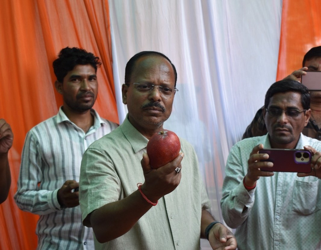DM_Nuapada's tweet photo. ଓଡ଼ିଶା ଗ୍ରାମୀଣ ବିକାଶ ଓ ବିପଣନ ସମିତି (ଓରମାସ) ଏବଂ ନୂଆପଡ଼ା ଜିଲ୍ଲା ପ୍ରଶାସନର ମିଳିତ ଆନୁକୂଳ୍ୟରେ ଜିଲ୍ଲା ମୁଖ୍ୟାଳୟ ପରିସରରେ ପାଞ୍ଚଦିନିଆ ଜିଲ୍ଲାସ୍ତରୀୟ ଆମ୍ବ ମେଳା-୨୦୨୬ ଉଦ୍‌ଘାଟିତ ହୋଇଯାଇଛି। 
@CMO_Odisha @IPR_Odisha @PRDeptOdisha @ormas_odisha https://t.co/t52cBzC2VG