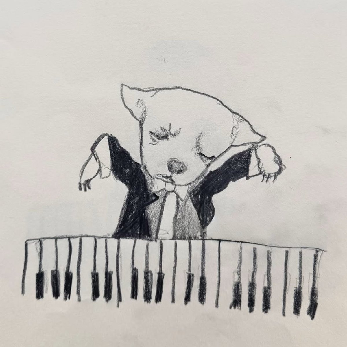 Chihuahuaismad's tweet photo. ladies and gentlemen, let me present you my finest performance 🎹 🎵🎶 https://t.co/3u8WWYIdja