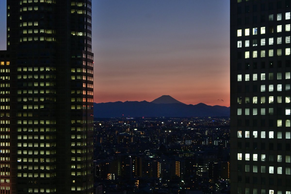 Kohi5180's tweet photo. 新宿から富士山 8
インスタでポートレートは → @kohi80_photo
#富士山 #シルエット #夕景 #夜景ら部 #夕景ら部 #新宿 #東京都庁 #fuji #mtfuji #cityhall #skyscraper #sunsetview #nightview #silhouettes #shinjuku #tokyo #japan #japan_sunset_view #landscape #japan_of_insta #tokyotokyo https://t.co/8tctabBiZ9