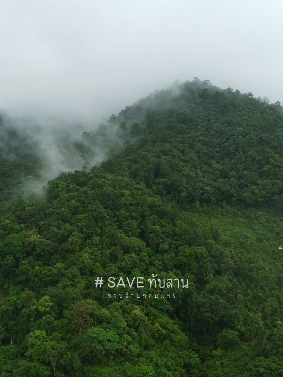gypsythai's tweet photo. ร่วมกันคัดค้านครับ #saveทับลาน https://t.co/ntC2QtRD5R