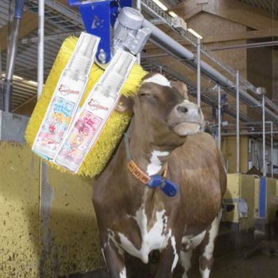 ผีวัว (ตัวจริง) 🐄 tweet media