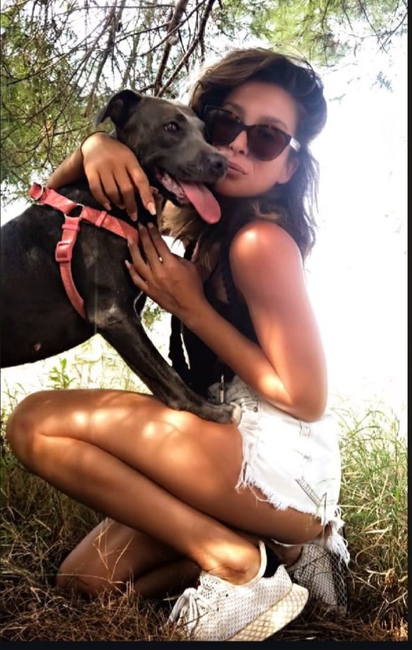Artemis & The Hounds tweet media