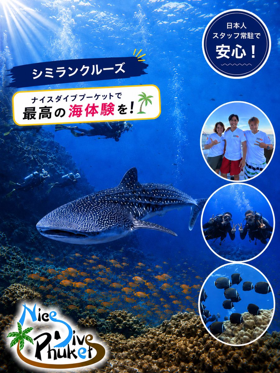 NiceDivePhuket2's tweet photo. 【年末年始ダイビングクルーズ受付中】
年末年始はダイビング三昧！
🔹シミランクルーズ 2泊3日 29,200THB～ 世界中のダイバー憧れのシミラン＆リチェリューロックへ
🔹ラチャクルーズ 2泊3日 25,300THB～ 新造ボートでラグジュアリーに楽しむプーケット近海クルーズ
ご予約はお早めに！ https://t.co/QbXmxxywDH