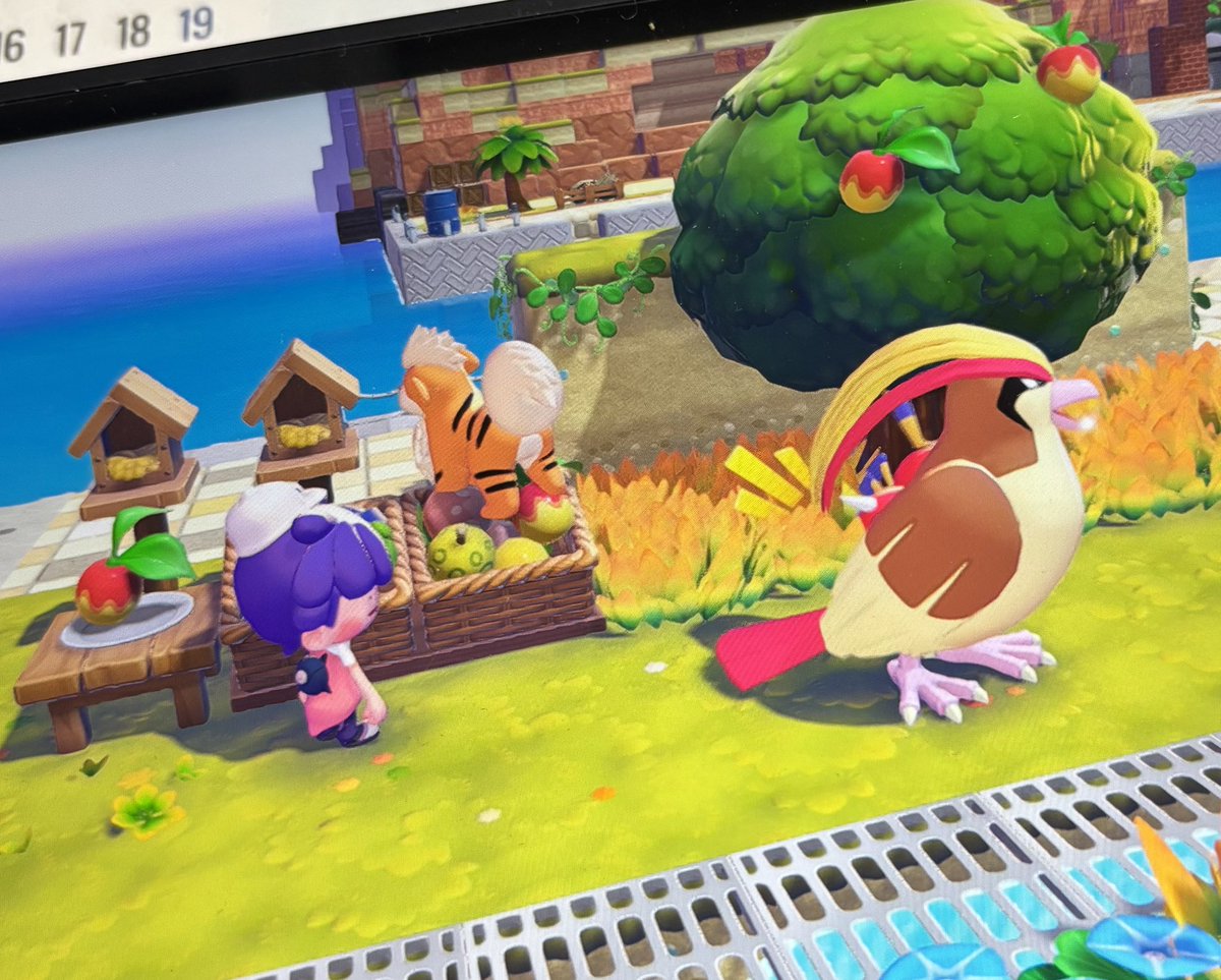 pijyon's tweet photo. 本日の #ぽこあポケモン 
ぜいたくピヨピヨごはん🐣の生息地をセットしたところ、大きくてマッハ2で飛ぶタイプのピヨピヨしたポケモンさんがいらっしゃいました。
すみかがいまいち、食べ物が欲しいというのでトマト🍅をあげたんですが、カゴのきのみはキープしたいってこと？ https://t.co/6eZrxmPMyf
