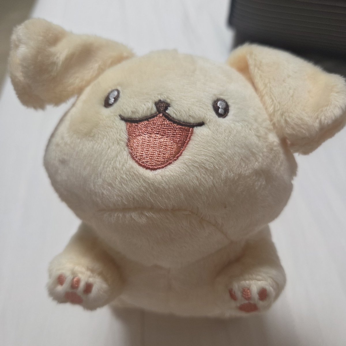 AfX0jx's tweet photo. #데못죽장터 #솜인덕장터

콩콩콩이 
미니흑솜려
베베청려

전부 원가양도 합니다
반택 일택 모두 가능합니디 https://t.co/sbbZvLWhSj