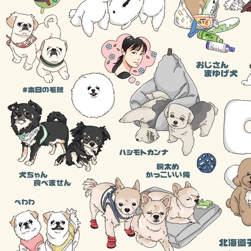 いぬページ 気付くの遅かった！犬ちゃんいるよー😭🐶🫶