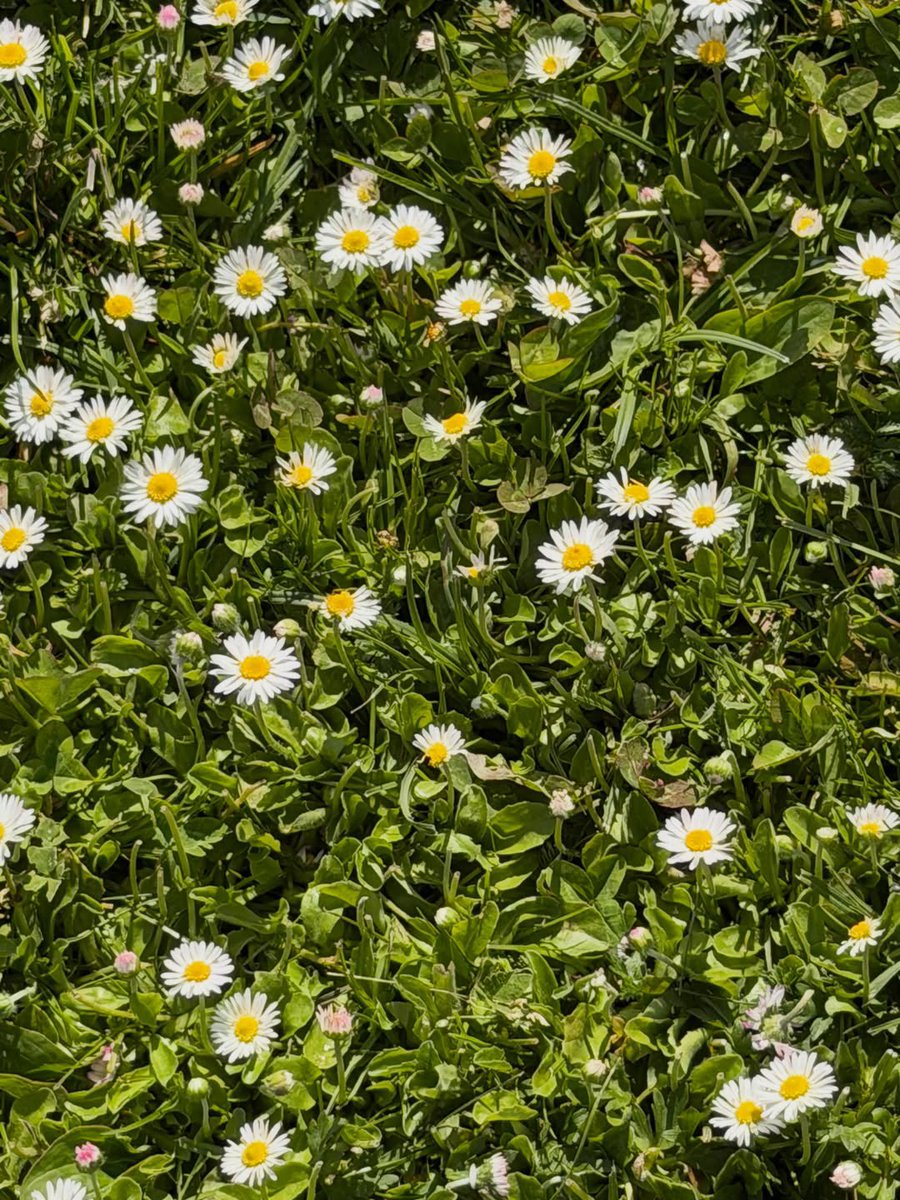 Iadymarcy's tweet photo. European summer done right! 🌼 https://t.co/sUbLv6GRDc