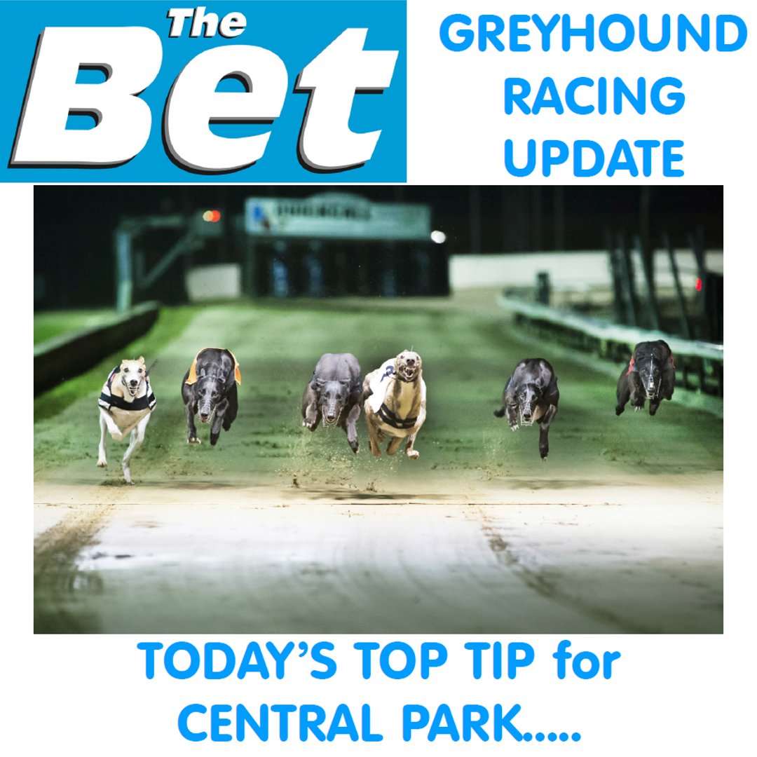 TheBetUK's tweet photo. TODAY’S TOP TIP for Central Park

Check out today’s top tip https://t.co/BTvn1tnIW4 

#DogRacing #TheBet #Bookies #Betting #Tips #Greyhounds #HotshotHarry #CentralPark

@centralparkdogs https://t.co/AaBuQSEKH3
