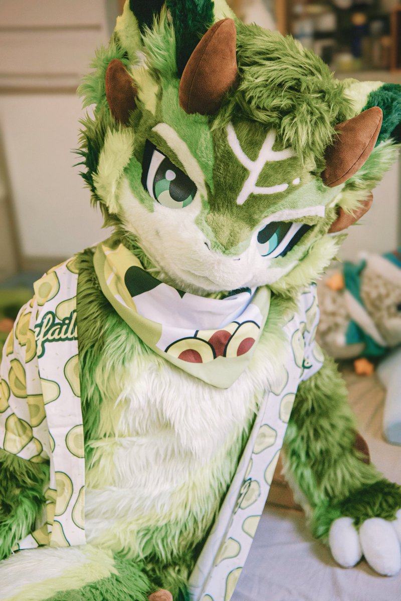 Popogaima's tweet photo. relax
#furry #fursuit https://t.co/BrPkSceUAr