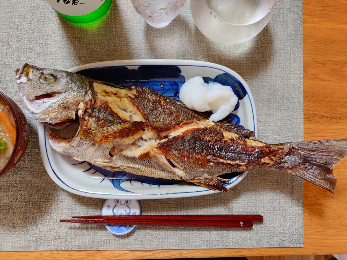 poke_licon's tweet photo. イサキの塩焼きは日本酒が合う🍶
お酒は江井ヶ嶋酒造の神鷹吟醸です。 https://t.co/uH8tkcloHV