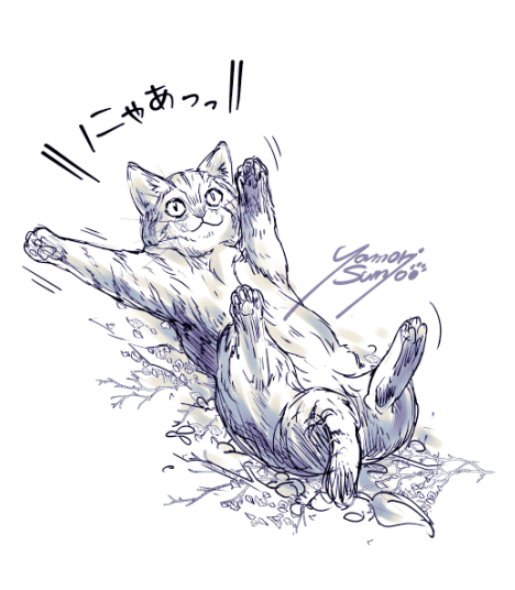 SumioYamori's tweet photo. あまりに可愛いポーズなので練習に描かせて頂きました🐱💕 https://t.co/ul3OAw40qD