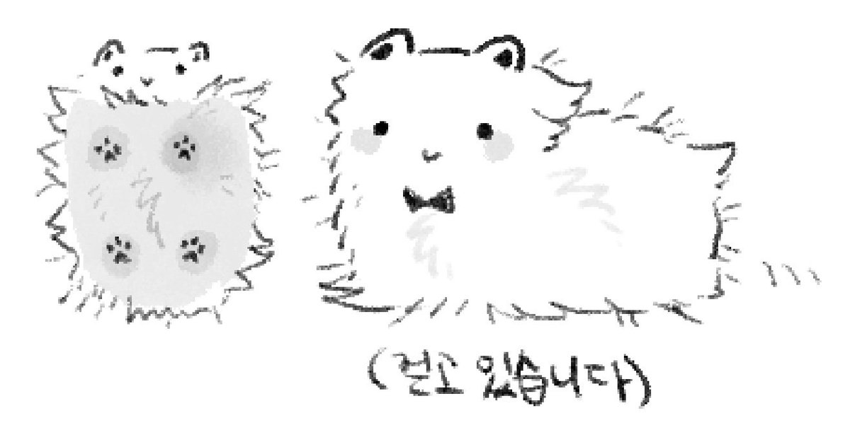 kimkyang_0531's tweet photo. 아직도 웃긴 털콕 짤.... https://t.co/Xquur6JSKA