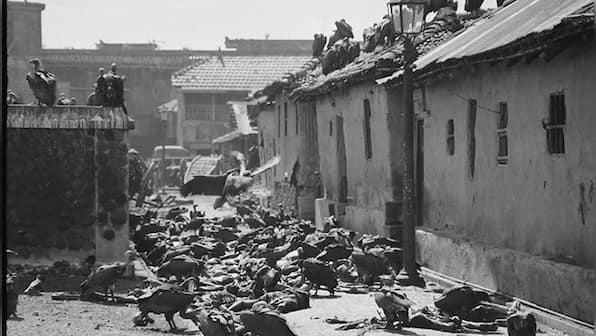 sarkar28922's tweet photo. For the first time in history, the Prime Minister of India spoke about the Noakhali Hindu  genocide. Please accept my respectful, bowed salutation, My dearest prime minister @narendramodi ji.❤️❤️❤️ https://t.co/EHhkpKrLm3