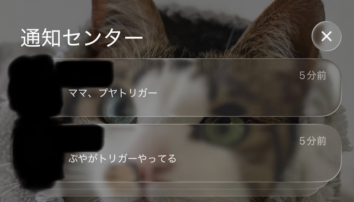 otter__frog's tweet photo. みんなすぐ教えてくれる https://t.co/1d1cHwkayU