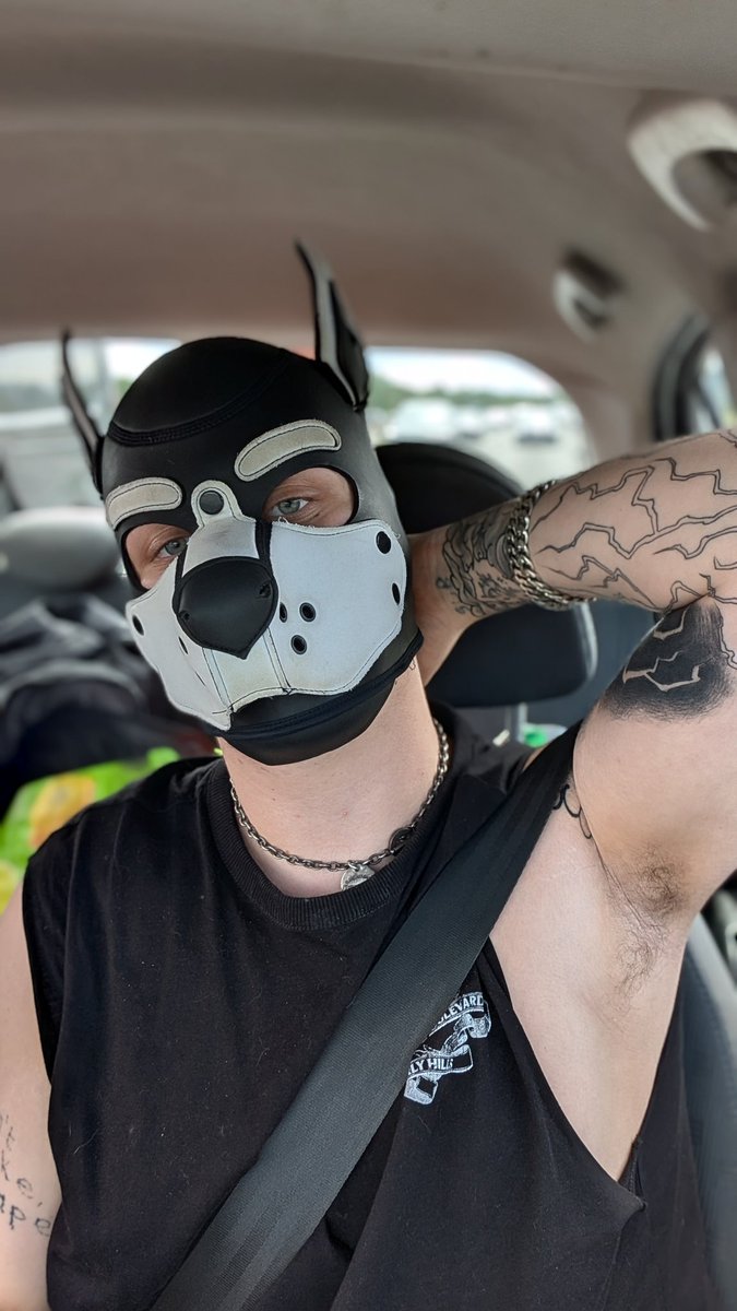 Pup Dusti tweet media