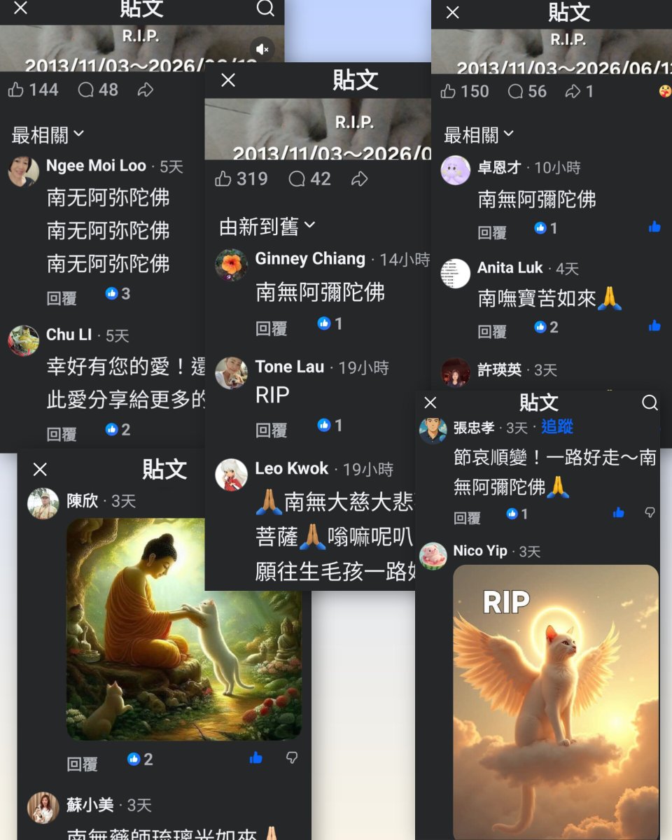 MrHankTW's tweet photo. 今天是頭彩的頭七，感謝我三個社團的團友對頭彩的留言與緬懷及AI圖和親手key上佛號的祝福，雖然大部分人都素未見過面，但遠勝於我熟識人給我的溫暖，小弟我永記心中！ https://t.co/70Xjimt6B2