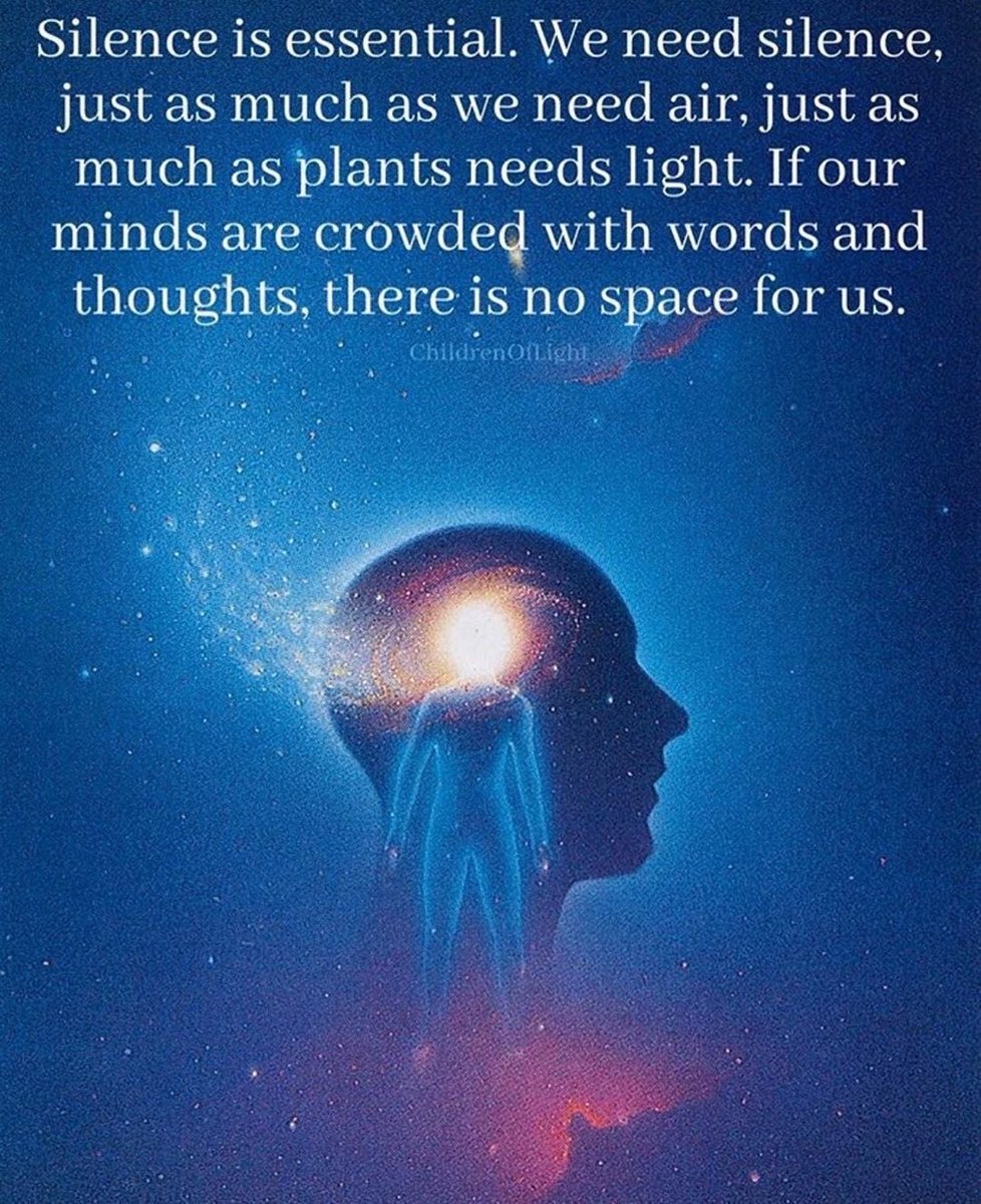 Wilton_fish58's tweet photo. 🧘‍♂️✨ https://t.co/s8s682AsJH