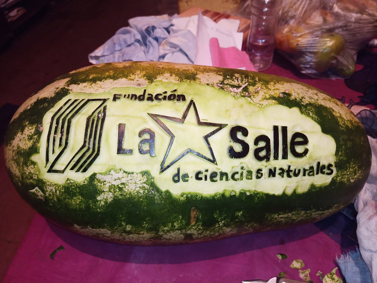 Gmata0211's tweet photo. SUSCRIBETE A MI CANAL DE YOUTUBE Y DISFRUTA DEL BELLO MUNDO DEL ARTE EN FRUTAS Y VEGETALES 
https://t.co/scjXUfYbPU
WHATSAPP +58 412-3523677
A SUS ORDENES https://t.co/ZmwIFWBG5Z