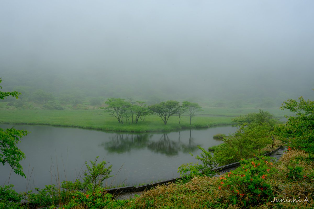 jun11aky's tweet photo. 雨の覚満淵
雨だったの敢えてで赤城山へ出かけて来ました☔
ツツジは殆ど咲いてません。
#赤城山 #nikon #Z6III #GRヤリス #覚満淵 https://t.co/UzZM7Za8hh