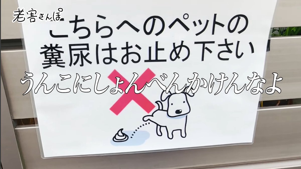 仁木恭平(ケビンス) tweet media