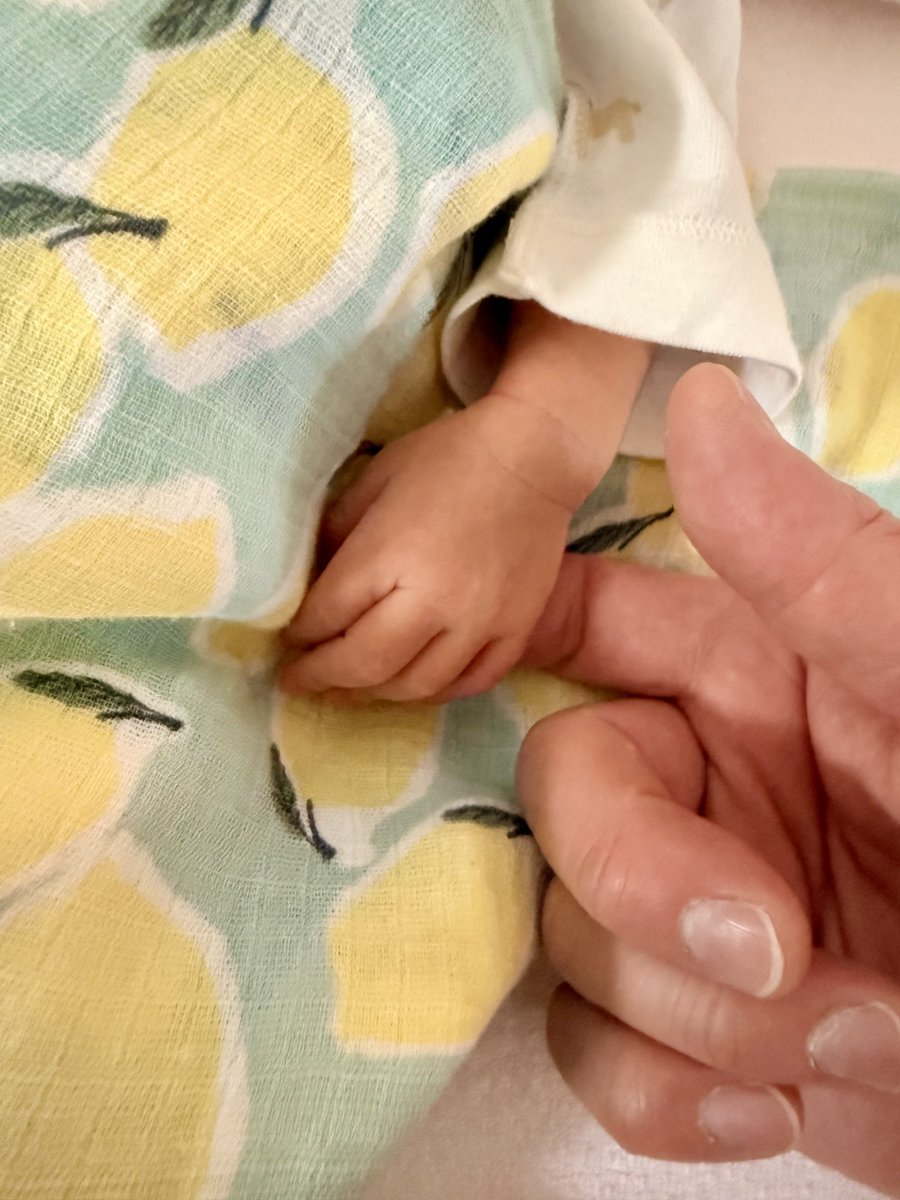 madmpd's tweet photo. 家族が増えました👶 https://t.co/FTj2Rwz8SD