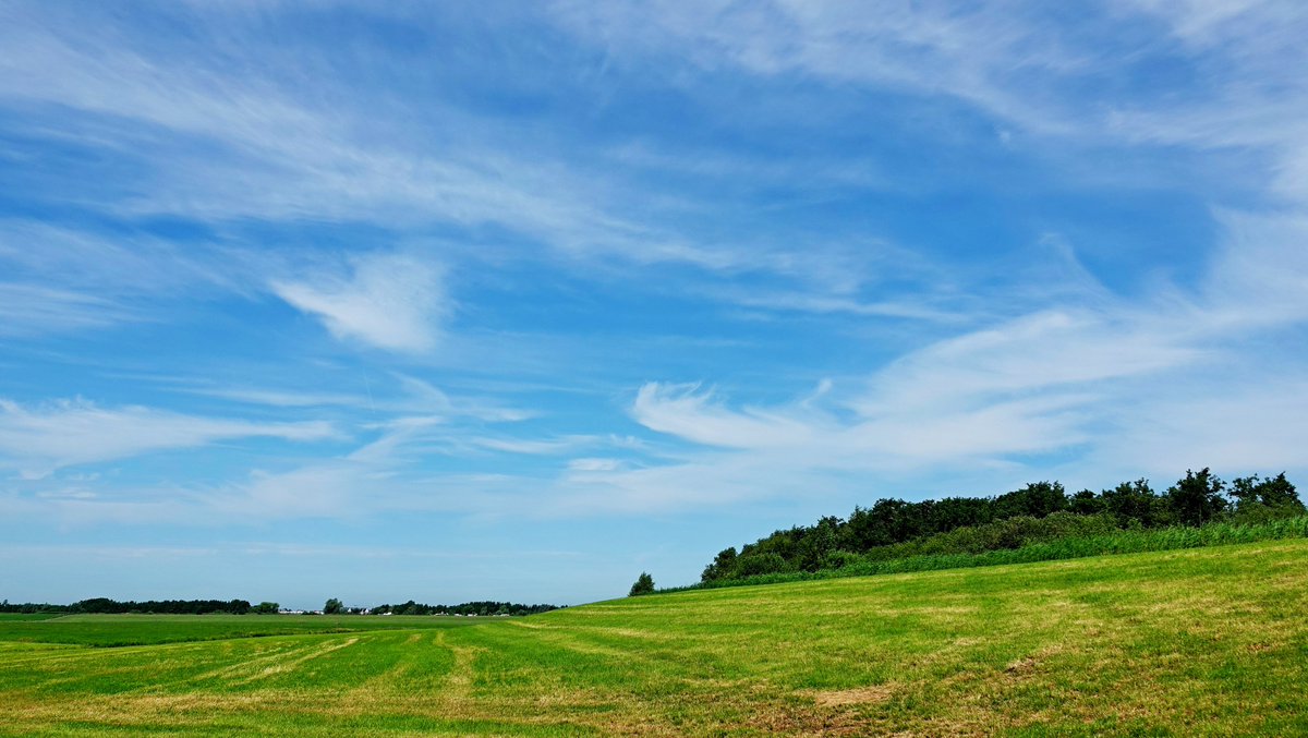 TonWesselius's tweet photo. @BuienRadarNL @MeteoVoorne @MeteoGouda @janvissersweer @Alpenweerman @TalpaNetwork @weeronline @Weerplaza @omroepwest @pictureofNL @Groenehartstoc1 Mooi weer met zon en wat sluierbewolking,en een aangename temperatuur in het westen... https://t.co/oHsb0et3yI