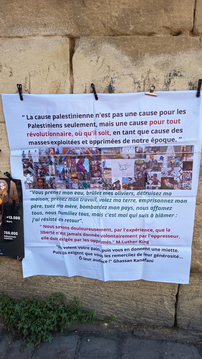 ComiteAction's tweet photo. 2/3 Le CAP est présent place de la Victoire et vous attend pour sa 139e manif en soutien avec le peuple🇵🇸
⏰15h30
📍Place de la Victoire à Bordeaux 
Protégez du☀️ et hydratez vous mais continuons de rester mobiliser pour la cause 🇵🇸
On ne lâche rien 
#Gaza #Bordeaux #Palestine https://t.co/YnxaEchoQE