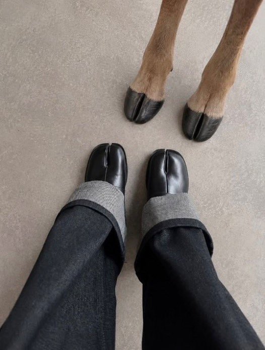 癒しの動物 tweet media