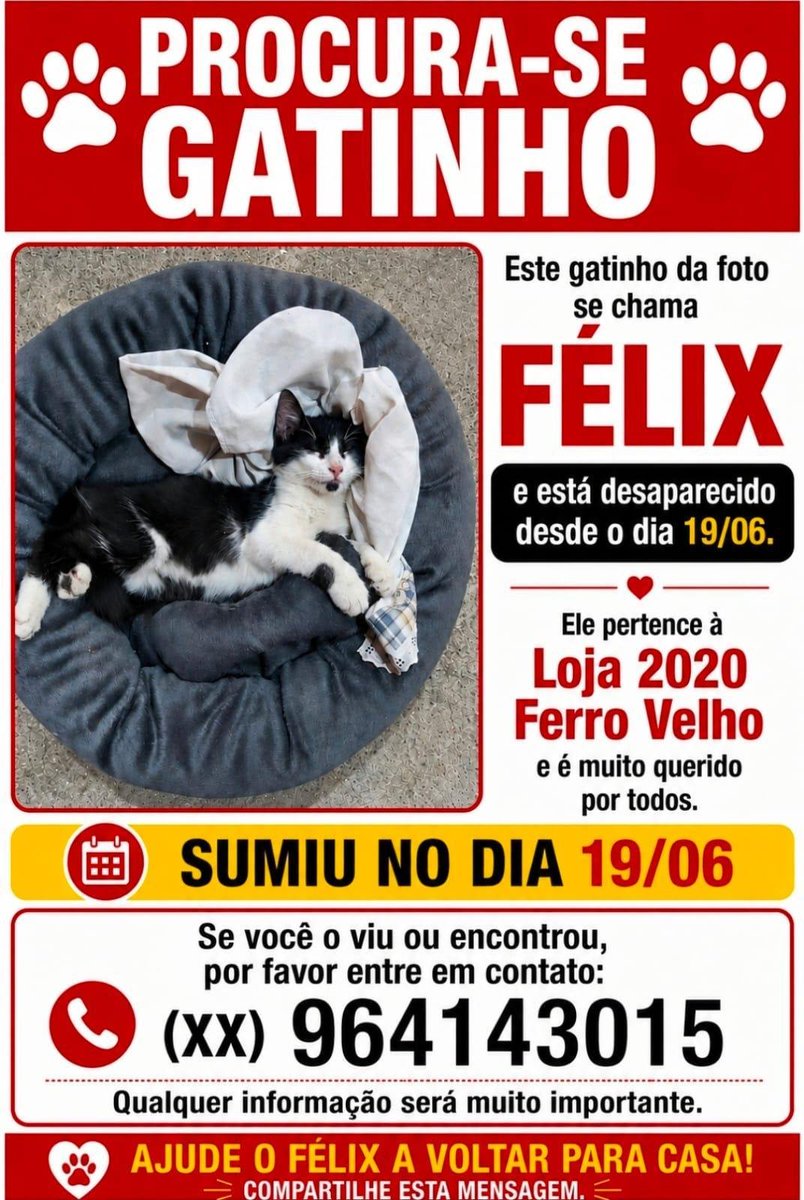 taquararjnews's tweet photo. 🐱 GATINHO PERDIDO NA TAQUARA 🐾 https://t.co/oUPA1F3JJX