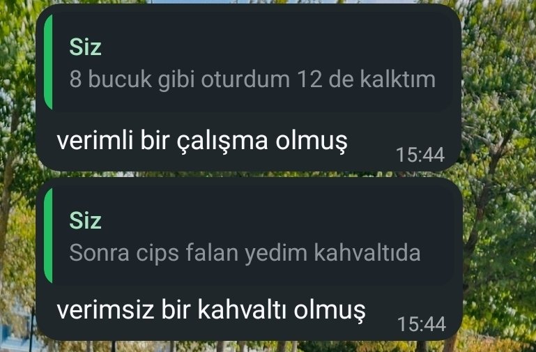 uacntospaa's tweet photo. Nolmuş ki haftasonu projesiyle biraz fazla  uğraşmışsam https://t.co/v3NGk1fPwD