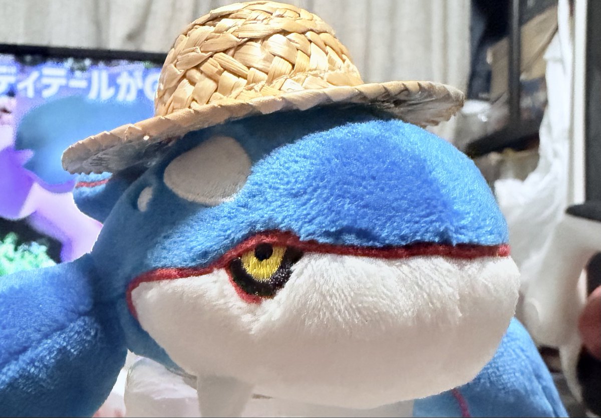 Syachi_eat's tweet photo. 我が家の新顔 https://t.co/HpYsbxEAk2