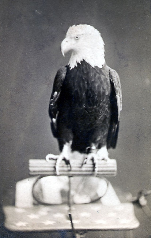 andeNHS's tweet photo. On June 20, 1782, the Bald Eagle became our national symbol. Old Abe, the Civil War mascot from Wisconsin, inspired the iconic 101st Airborne insignia.

#BaldEagle #AmericanHistory #OldAbe #CivilWarHistory #NationalSymbol https://t.co/bat181MVNH