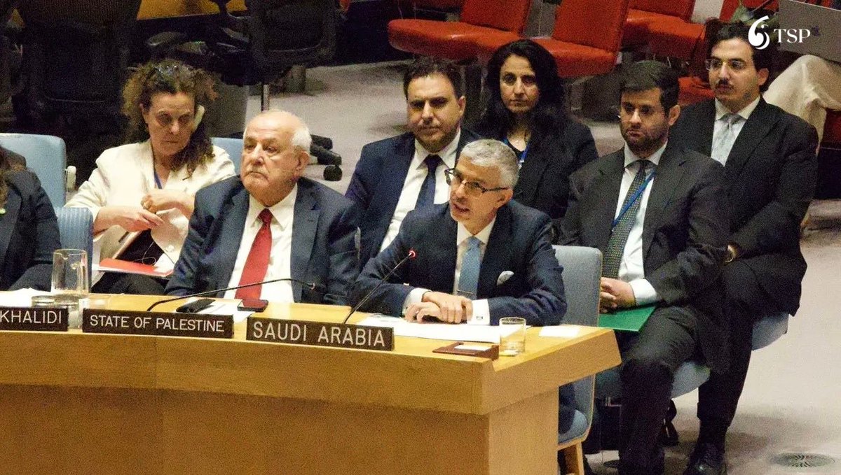 السعودية تؤكد على حل الدولتين كسبيل للسلام في القضية الفلسطينية