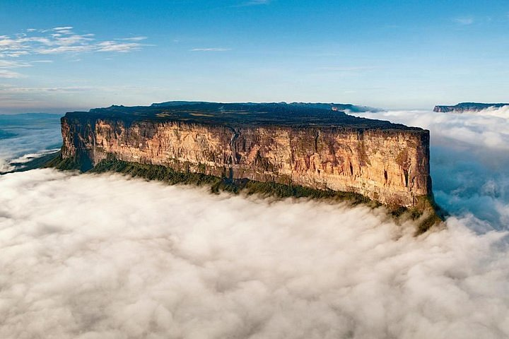 murielburial's tweet photo. queria descer aqui de helicoptero bem de manhãzinha ir pra margem e começar a jogar coisas tipo garrafas pedaços de carro garfos e facas https://t.co/xSHpfIUEsY