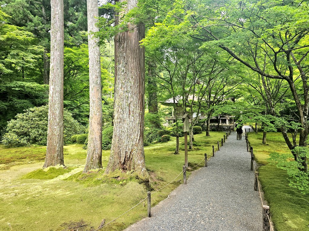 oomati's tweet photo. 大原三千院、岡崎神社、お出かけブルブルくん https://t.co/W1FUH1yJow