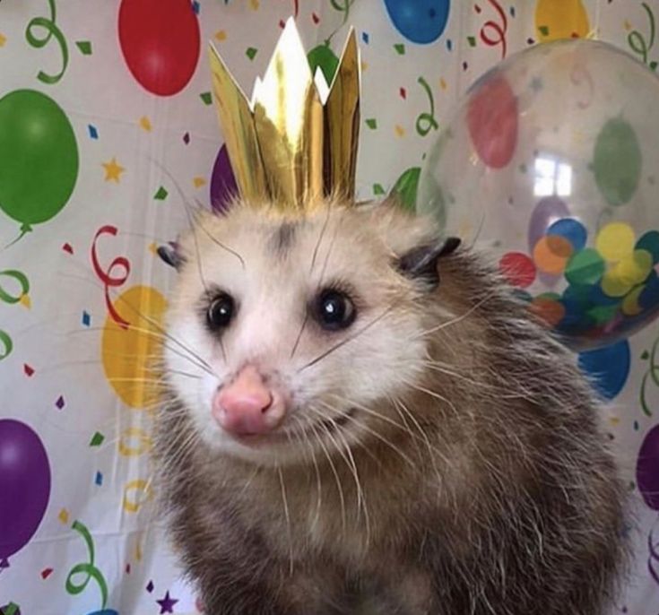 fxckyoumore's tweet photo. ¡Una semana para mí cumple! ¿Qué me vais a regalar? https://t.co/4qacyIKFzl
