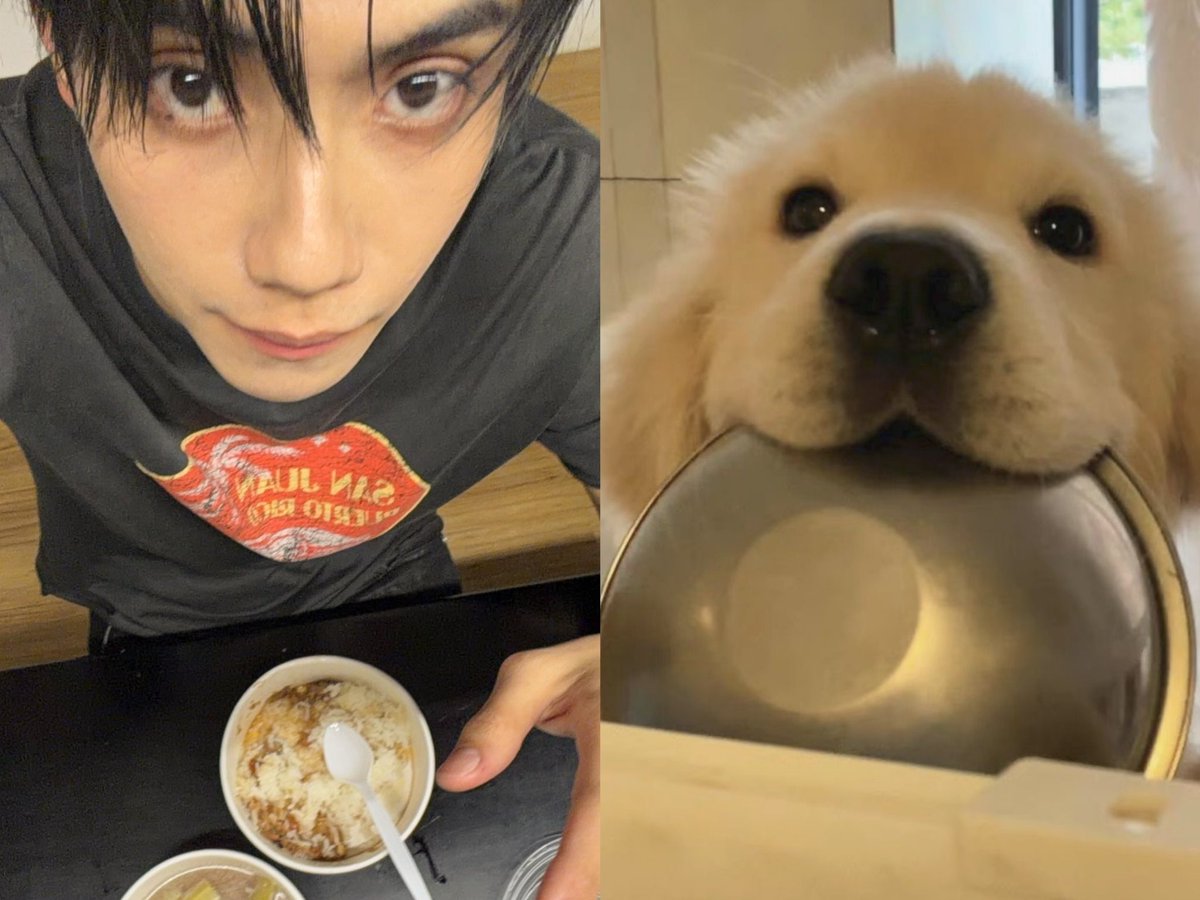 babipuppykiddo's tweet photo. เติมข้าวกั้บ ๆๆ ภีมมะอิ่มม * 🥣🐾 https://t.co/5KE8d5StJq