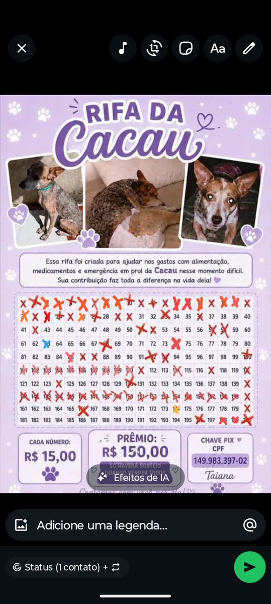 thaiannax's tweet photo. Bom dia pessoal 💓🐾🙌🏼 fiz essa fotinha da cacau jogando pro universo ela belíssima assim e 100% curada logo logo 😭🙏🏼
Atualizando a rifa, conseguimos vender mais alguns números ontem 🥹🙏🏼  falta tão pouquinho, vamos ajudar ? Cada número é 15$ mas quem não puder contribuir,qualquer ajuda é válida,até 1$ 🥹❤️‍🩹 vou deixar meu Pix pra quem quiser comprar um ou ajudar conforme o coração mandar 🥹 Pix CPF 149.983.397-02 Taiana