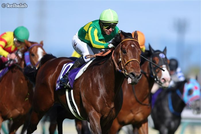 keibalab's tweet photo. 【夢を携えた王の挑戦】
クイーンエリザベス2世ジュビリーS
G1 芝直線1200m
日本時間本日23時40分発走
サトノレーヴ R.ムーア騎手
ルガル 鮫島克駿騎手
※国内馬券発売なし
#サトノレーヴ #ルガル #鮫島克駿
https://t.co/hqp0NhRijH https://t.co/dGrppYMWsM